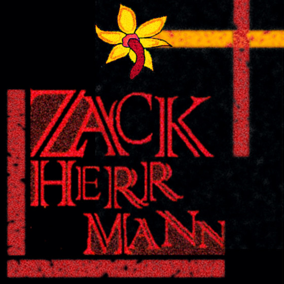 Zack Herr Mann