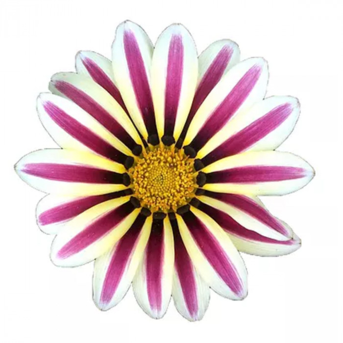 <span class='identity '><span class="identity__username">Florette F</span></span> Florette F