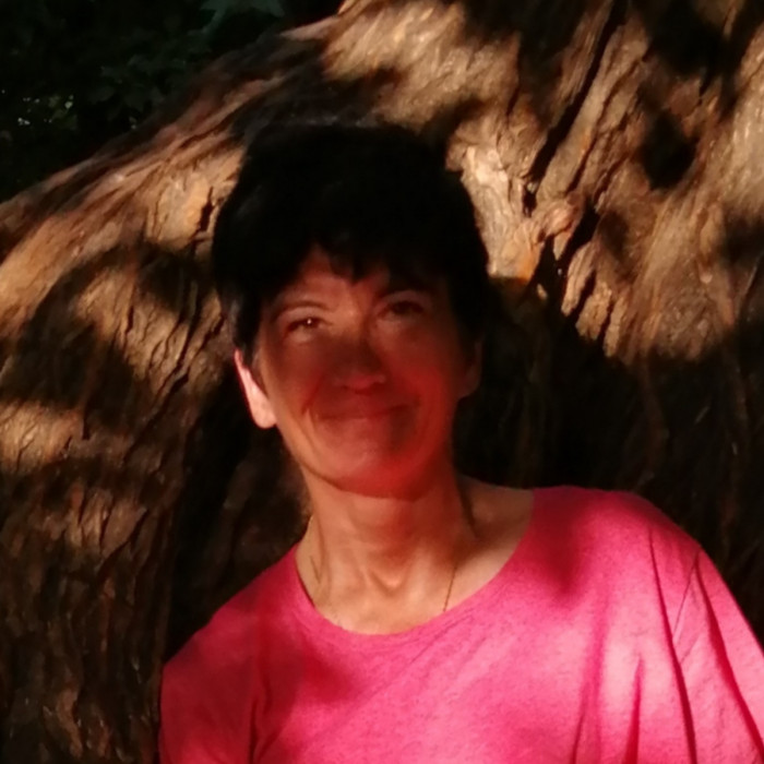 <span class='identity '><span class="identity__username">Stéphanie Wolf</span></span> Stéphanie Wolf