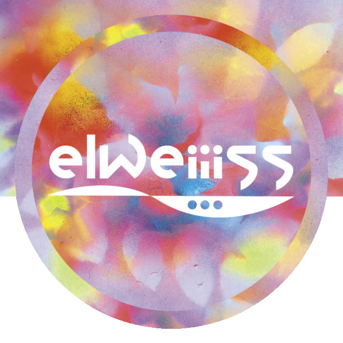 <span class='identity '><span class="identity__username">Elweiiiss</span></span> Elweiiiss