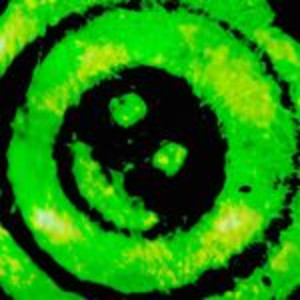 Crypto-Artiste - ARTACTIF