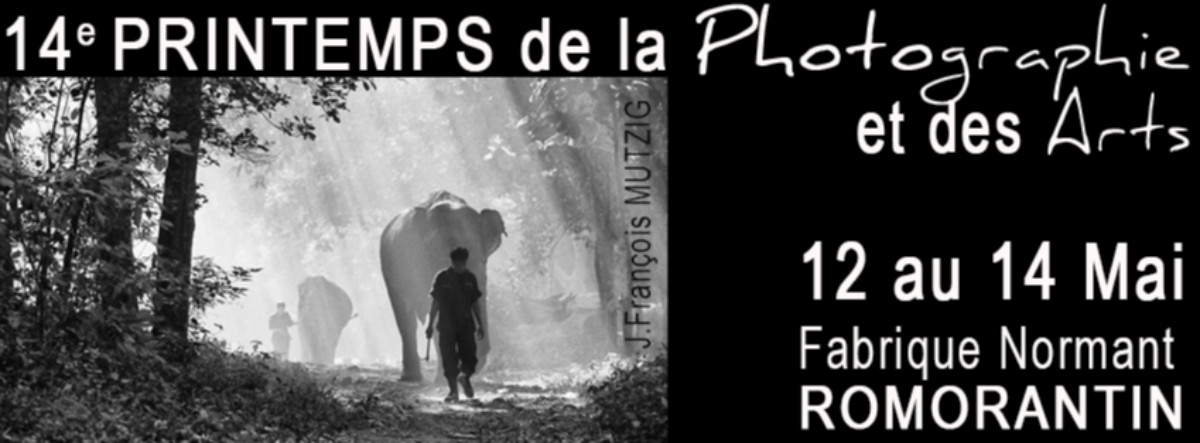 Printemps de la Photographie et des arts sur le site d’ARTactif