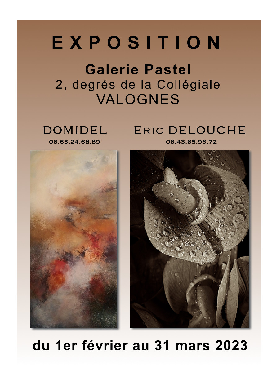 GALERIE " PASTEL " à VALOGNES - ( 2, degrés de la Collégiale ) sur le site d’ARTactif