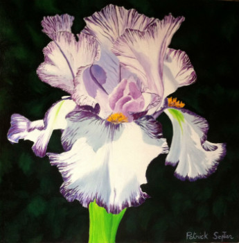 Œuvre contemporaine nommée « iris », Réalisée par PATRICK SEPTIER