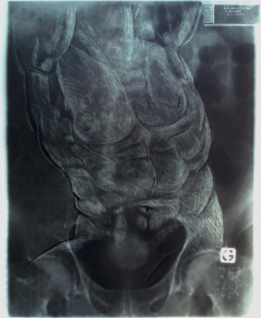 Œuvre contemporaine nommée « torses ( présenté dans une boîte éclairée avec un néon ) », Réalisée par MAJO MARCHAND
