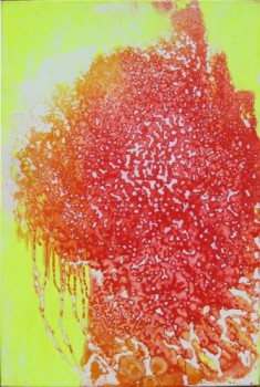 Œuvre contemporaine nommée « Explosion Macrobiotique », Réalisée par LIONEL DURUPT