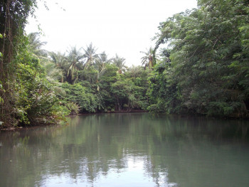 Œuvre contemporaine nommée « La rivière  des Indiens des Caraïbes », Réalisée par SEIDITADENISEART