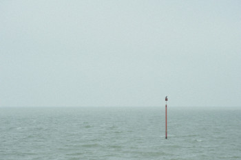 LA BOUEE VERTE Sur le site d’ARTactif