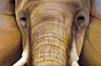 Œuvre contemporaine nommée « Elephant », Réalisée par LE SINGE BLEU - PH. LUCAS