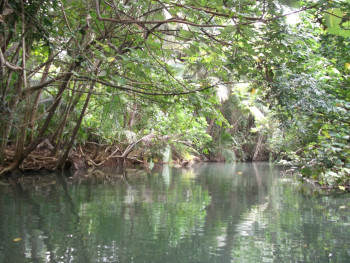 Œuvre contemporaine nommée « La rivière boisée », Réalisée par SEIDITADENISEART