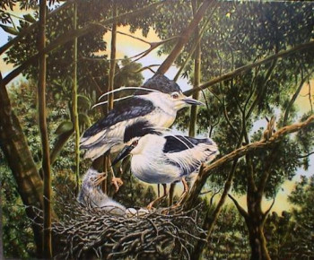 Œuvre contemporaine nommée « hérons au nid », Réalisée par ALCOAT