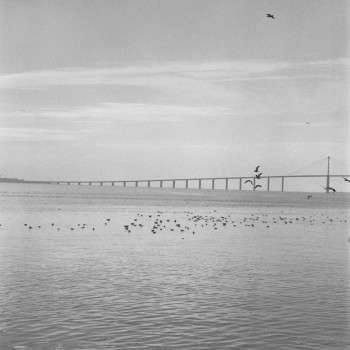 PONT DE SAINT NAZAIRE 1 Sur le site d’ARTactif