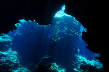 Grotte sous marine Sur le site d’ARTactif