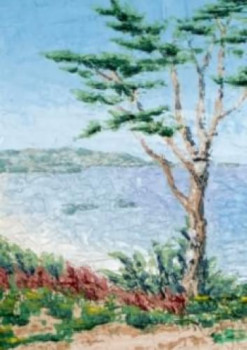 Œuvre contemporaine nommée « Petit arbre - St Quay Portrieux - Côtes d'Armor - Bretagne - France- Réf: 102Fg - Collection Particulière », Réalisée par ABERIUS