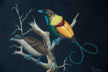 Œuvre contemporaine nommée « MAGNIFIQUES OISEAUX DE PARADIS », Réalisée par MICHEL MICHAUX