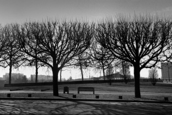 ÎLE BEAULIEU 4 Sur le site d’ARTactif