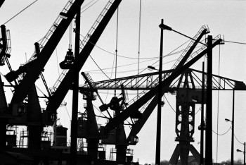 Œuvre contemporaine nommée « LES GRUES », Réalisée par CHRISTOPHE FABLET