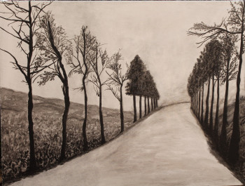 Œuvre contemporaine nommée « chemin de la vallée », Réalisée par   MARIA  COUTINHO   /  MARIA  C.