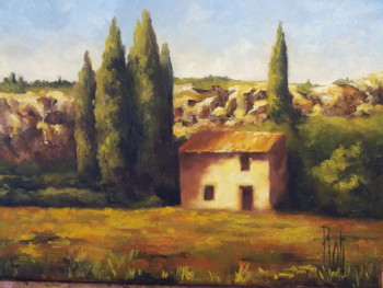 Œuvre contemporaine nommée « Cabanon dans les Alpilles », Réalisée par SYLVIE PIOLI