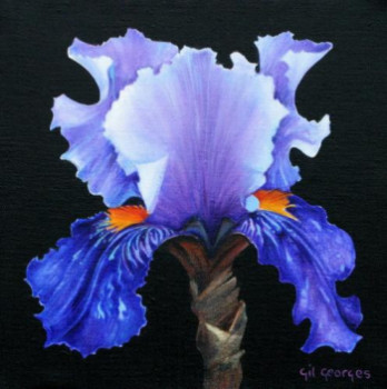 Œuvre contemporaine nommée « Iris Bleu », Réalisée par GIL GEORGES