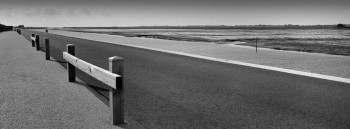 L'ALLÉE JACOBSEN ÎLE DE NOIRMOUTIER Sur le site d’ARTactif