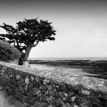 PLAGE DES CHEVRETTES NOIRMOUTIER Sur le site d’ARTactif