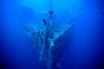 ÉTRAVE DU THISTLEGORM Sur le site d’ARTactif