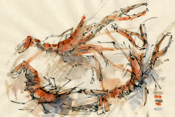 langoustines Sur le site d’ARTactif