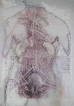 Œuvre contemporaine nommée « anatomie IV-volte », Réalisée par JELENA REMETIN