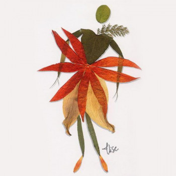 n° 68 - Physalis Sur le site d’ARTactif