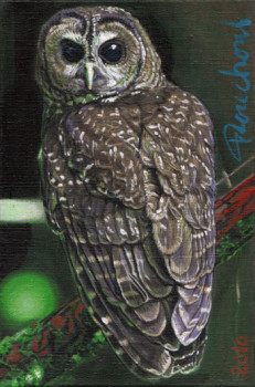 Œuvre contemporaine nommée « Northern Spotted Owl - 2010 », Réalisée par POUCHOUS