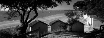 PLAGE DES SABLEAUX NOIRMOUTIER Sur le site d’ARTactif