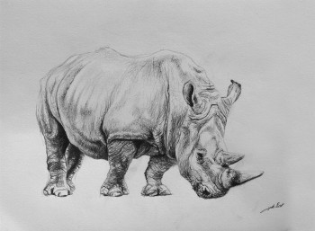 Œuvre contemporaine nommée « Dessin de rhinoceros 1 », Réalisée par DE PORET JB