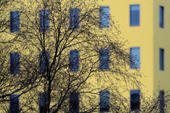 ARBRE SUR FOND JAUNE Sur le site d’ARTactif