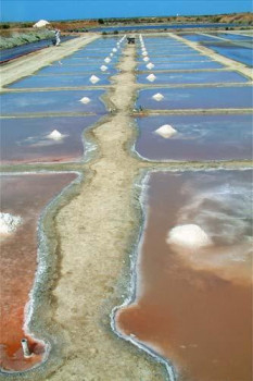 Œuvre contemporaine nommée « Le sel, les marais salants, l'or blanc de l'île de Ré », Réalisée par GALILEO