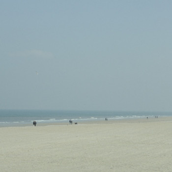 PROMENADE SUR LA PLAGE 2(trouville) Sur le site d’ARTactif