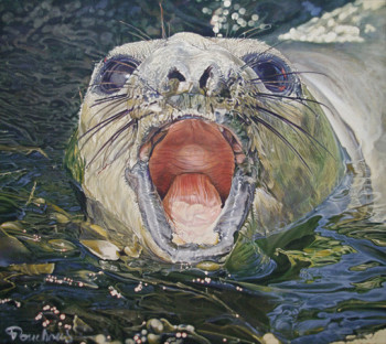 Œuvre contemporaine nommée « "Eléphant de mer", 1984 », Réalisée par POUCHOUS