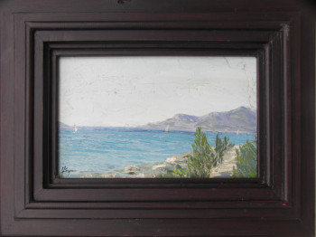 Œuvre contemporaine nommée « Golfe de st Florent », Réalisée par ASCOPA