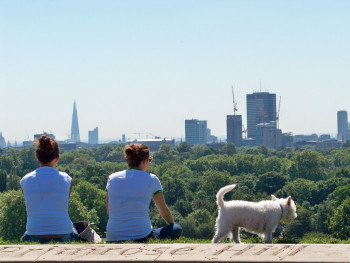 Primrose hill 01 Sur le site d’ARTactif