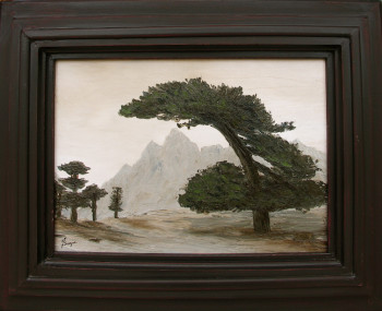 Œuvre contemporaine nommée « Pin Lariccio Bavella », Réalisée par ASCOPA