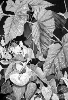 Œuvre contemporaine nommée « Begonias et spathiphyllum », Réalisée par JYCé