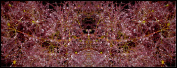 Œuvre contemporaine nommée « mante religieuse cristale », Réalisée par MIROIR PLANéTAIRE BLANC