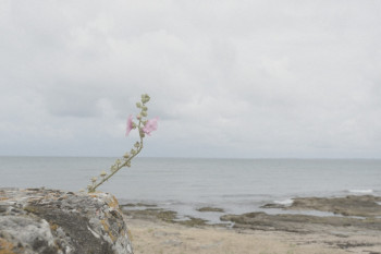 LA PLAGE DES CHEVRETTES Sur le site d’ARTactif