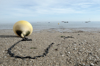 PLAGE DE LA CLAIRE Sur le site d’ARTactif