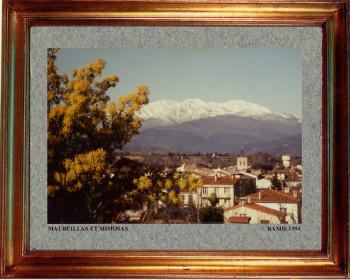 Catalogne nord, Maureillas et mimosas 1994 Sur le site d’ARTactif