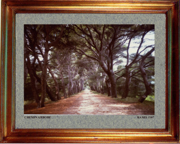 France, chemin arboré 1987 Sur le site d’ARTactif