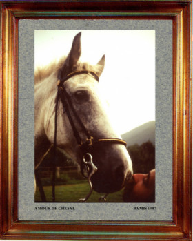 1987 Un amour de cheval Sur le site d’ARTactif