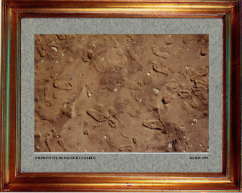 1991 Empreintes sur le sable Sur le site d’ARTactif