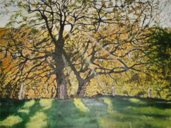 Œuvre contemporaine nommée « Coucher de soleil derrière le vieux chêne », Réalisée par FRANçOISE LALLEMAND