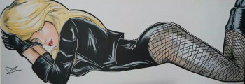Œuvre contemporaine nommée « black canary  1 », Réalisée par DC ARTWORK